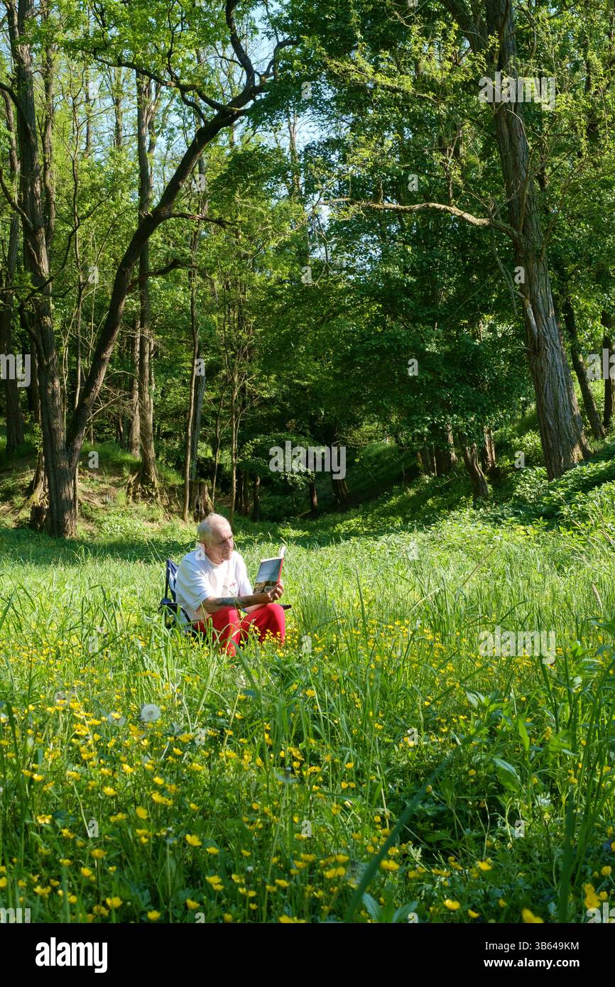 homme plus âgé assis au soleil seul lisant le livre parmi les fleurs sauvages de l'herbe longue avec des bois derrière le comté de zala hongrie Banque D'Images