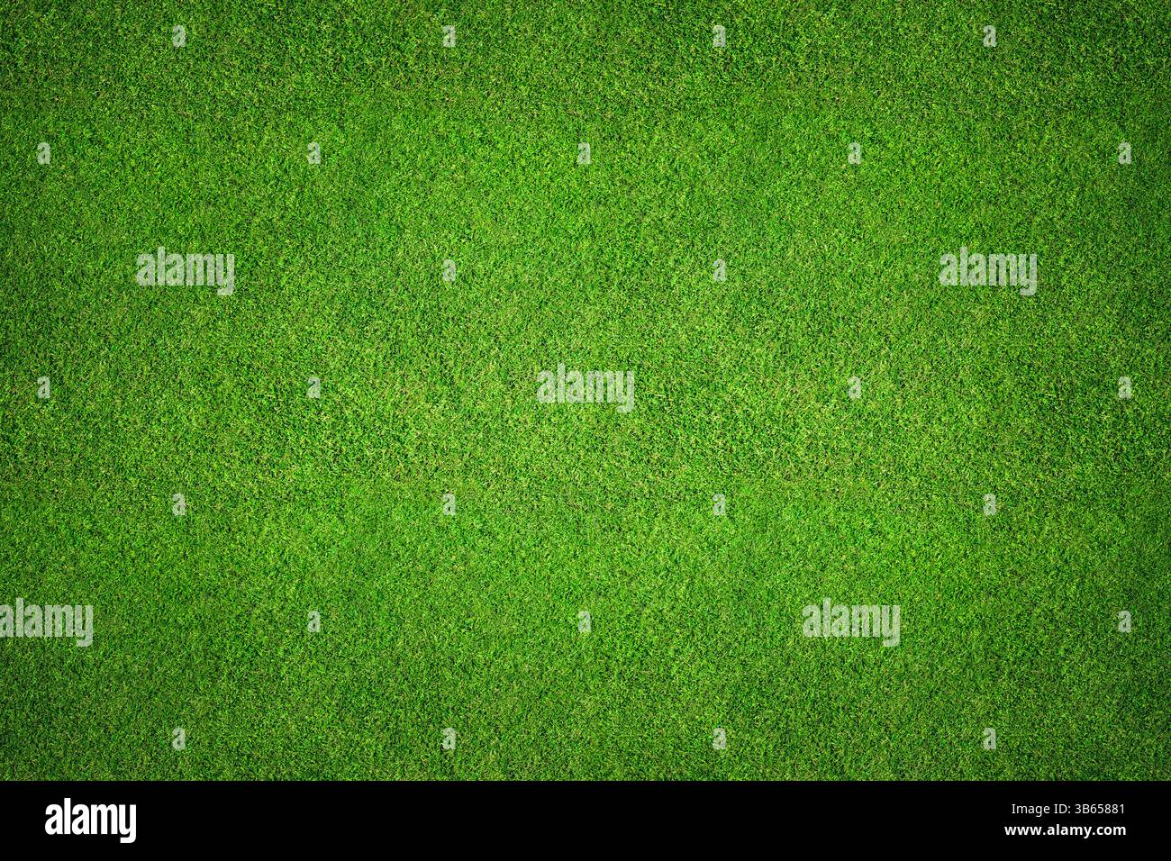 Vue de dessus d'arrière-plan d'herbe - image aérienne d'un champ d'herbe verte fraîchement coupé et sain comme texture de toile de fond. Banque D'Images