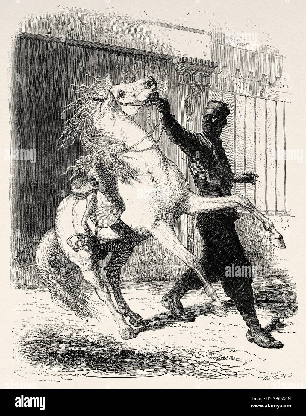 Spahi sénégalais avec un cheval à Saint Louis, Sénégal, Afrique. Dessin d'Emile Bayard (1837-1891) croisière sur les côtes africaines en 1868 par le vice-amiral Alphonse Fleuriot de Langle (1809 - 1881) le Tour du monde 1872 Banque D'Images