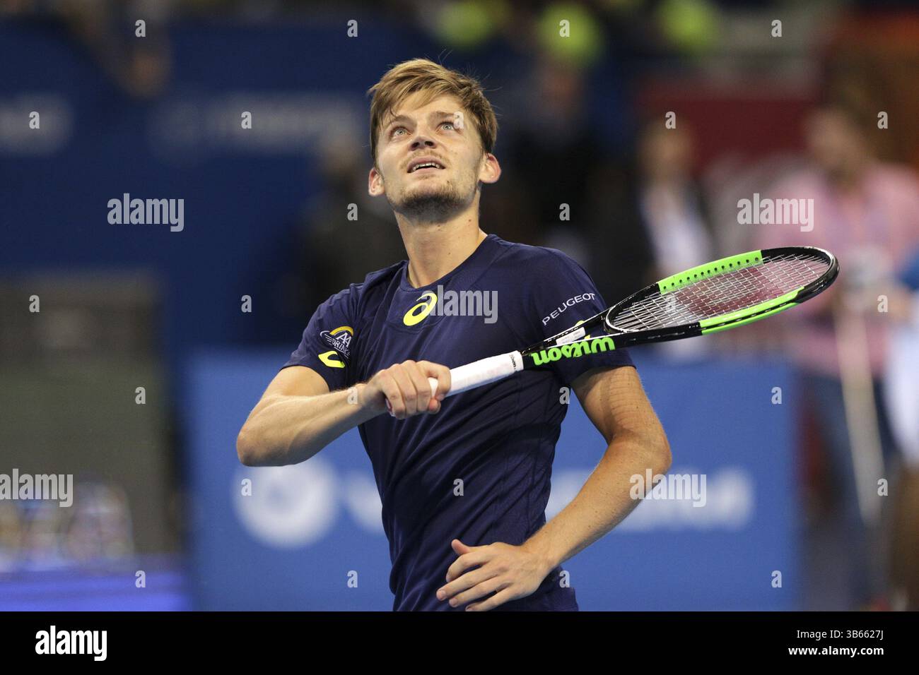 Sofia, Bulgarie - 11 Février 2017 : David Goffin à partir de la Belgique (en photo) joue contre Roberto Bautista Agut d'Espagne au cours d'un match de Sofia Ope Banque D'Images