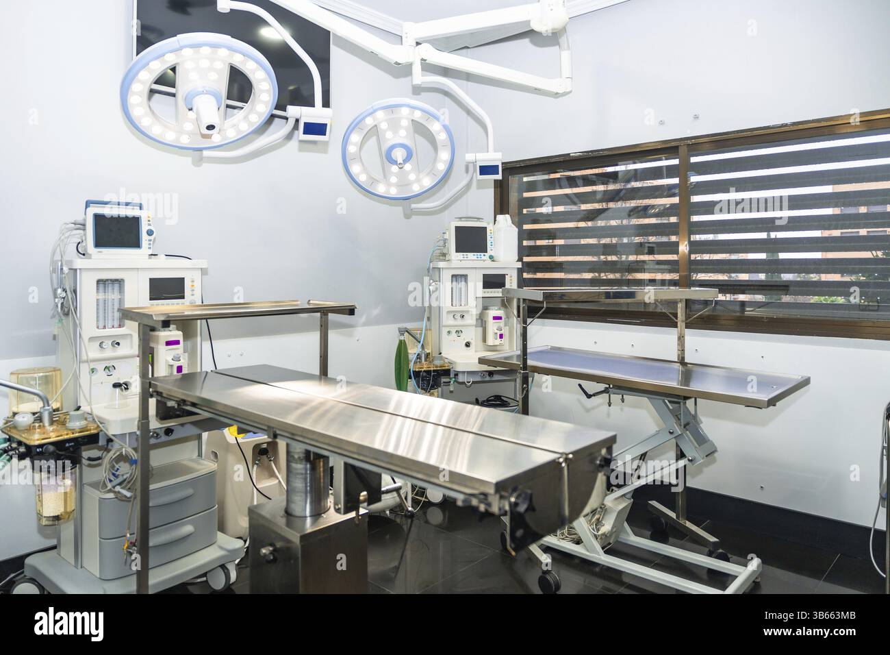 Salle d'opération vétérinaire vide équipée de lampes chirurgicales, machine d'anesthésie et tables d'opération en acier inoxydable, prête pour une procédure chirurgicale Banque D'Images