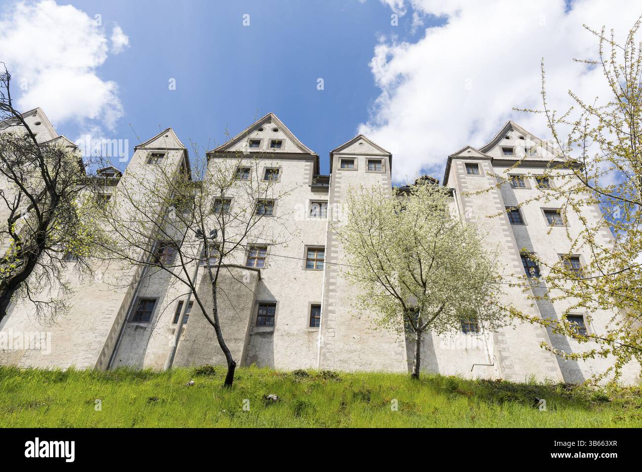 Le château de Nossen est haut au-dessus, Saxe, Allemagne, Europe Banque D'Images