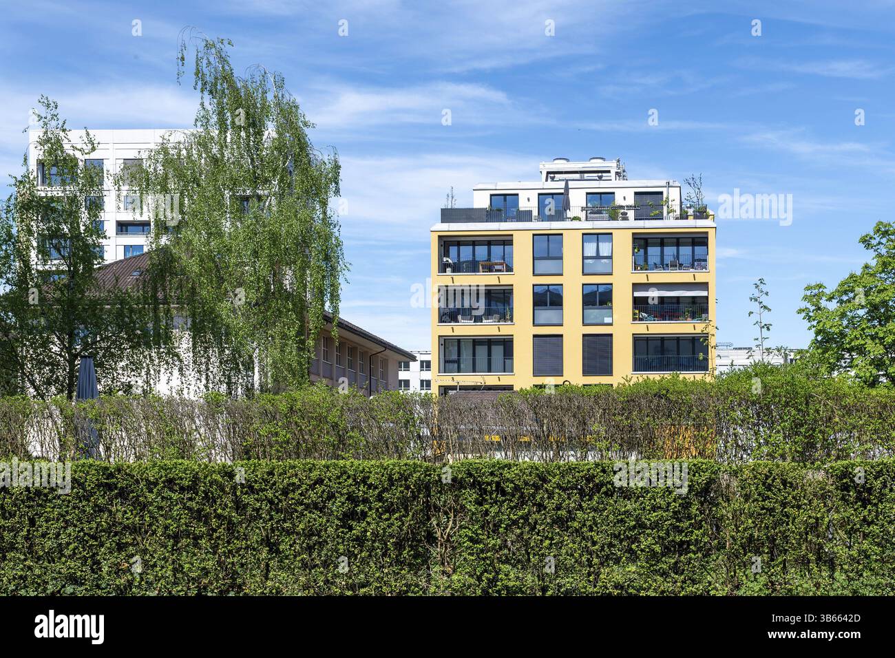 Bloc immobilier d'appartements Hedge plants Banque D'Images