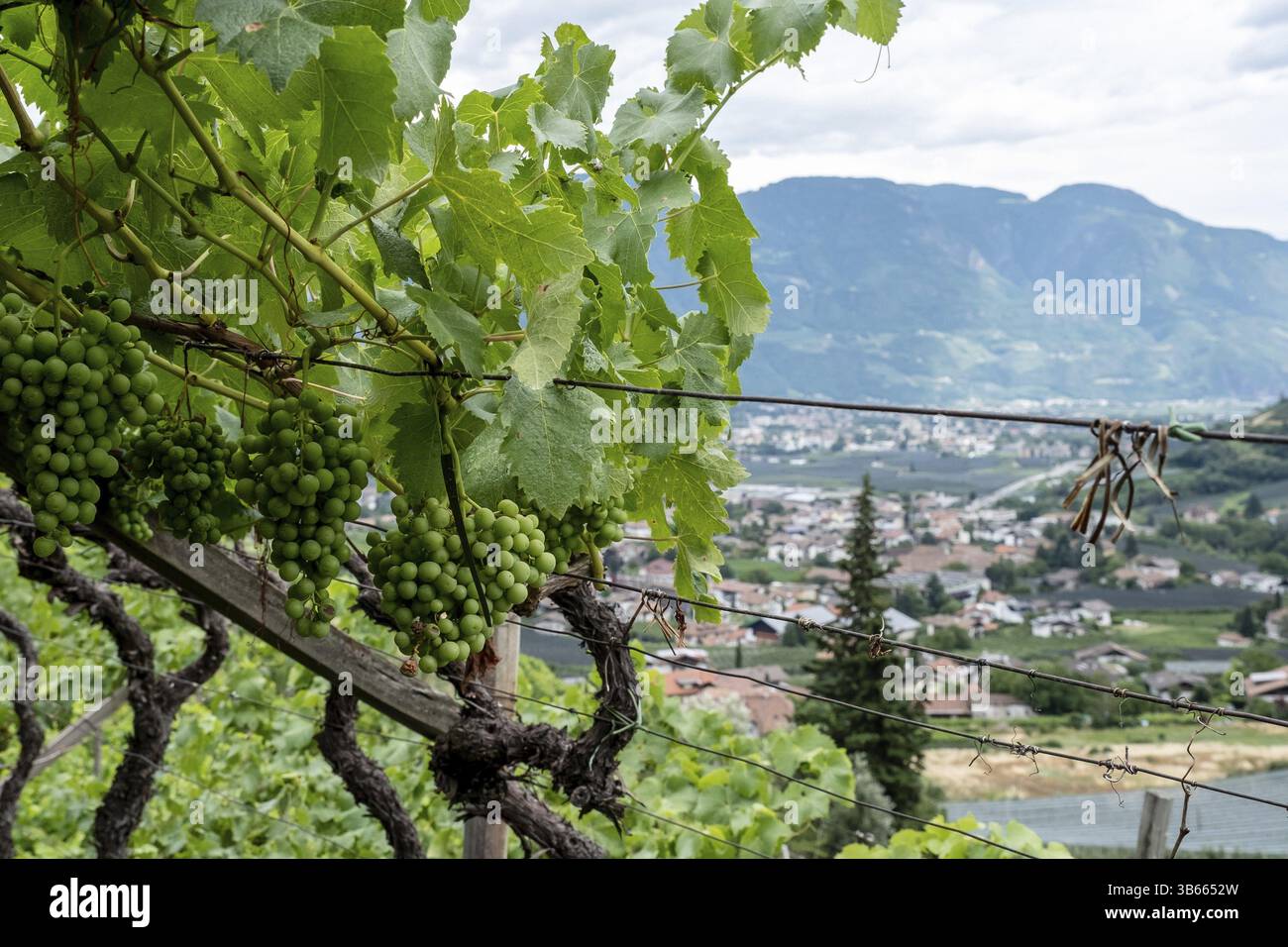Vue de l'Algunder Waalweg Banque D'Images