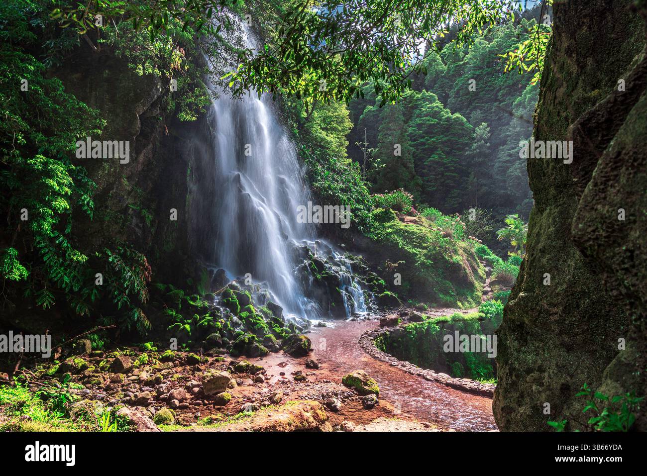 Cascade de Ribeira dos Caldeiroes, Sao Miguel, Açores – verdure luxuriante et eaux en cascade dans un parc naturel immaculé Banque D'Images