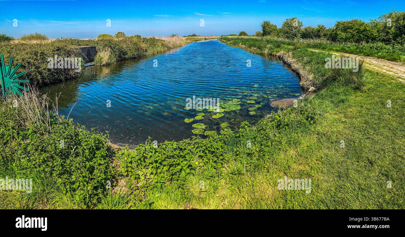 Panorama du North Stream, Roaring Gutter Dyke, Lydden Valley, Kent - Image de stock capturée avec un smartphone