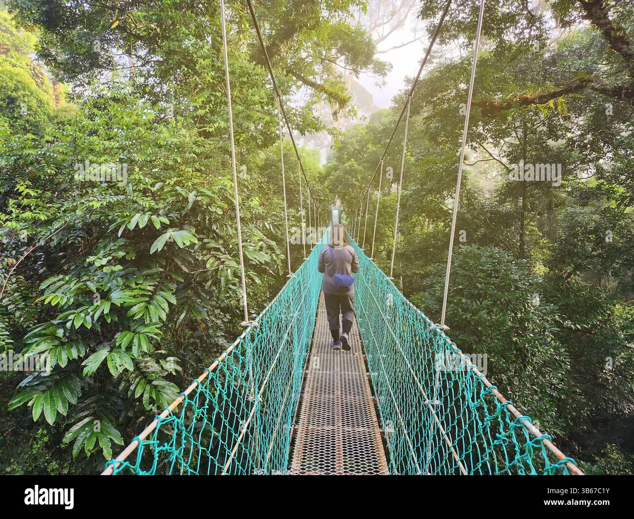 Vue arrière de la femme à Tree Top Canopy dans la forêt tropicale de Danum Valley à Lahad Datu Banque D'Images