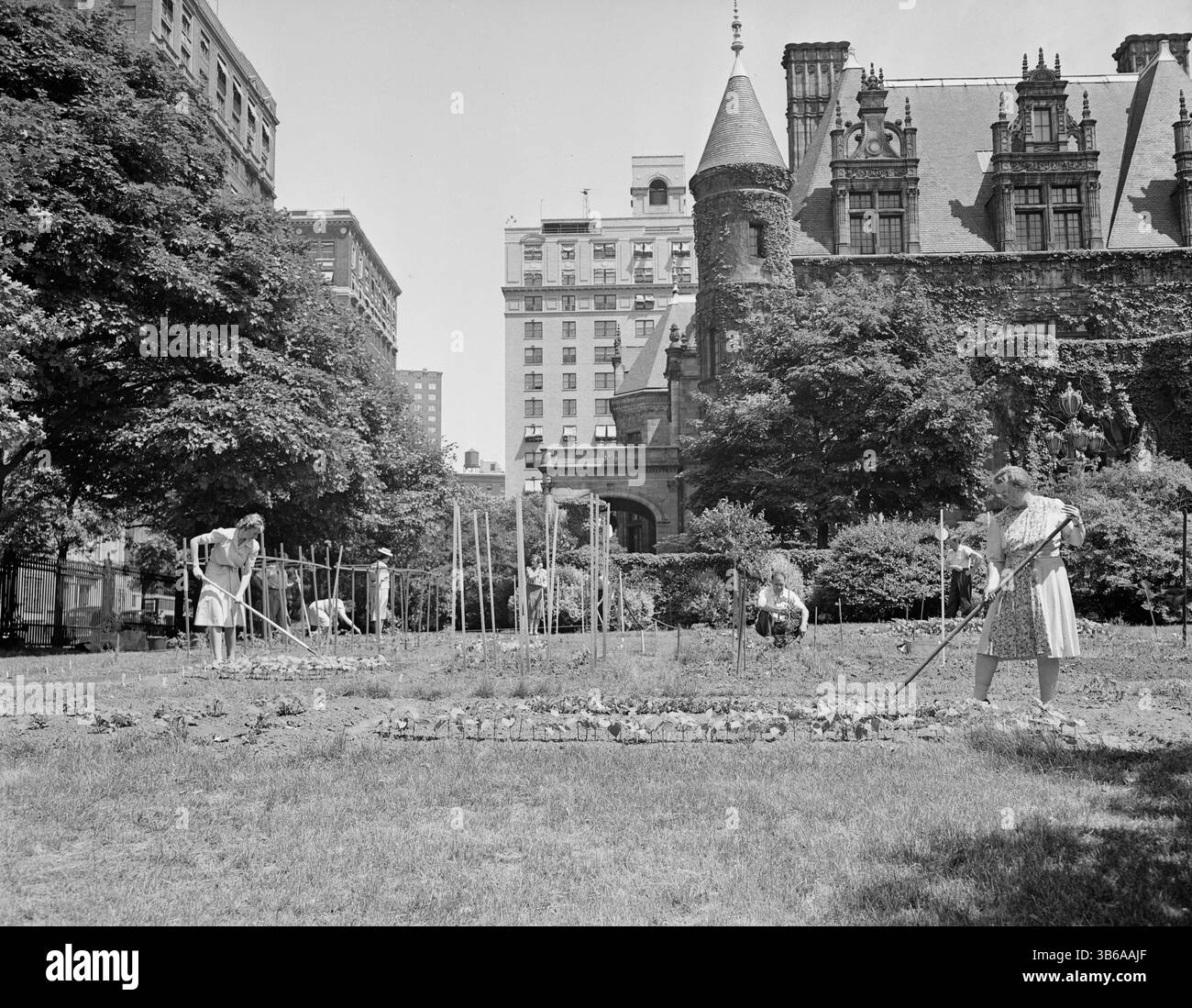 New York, New York. Jardinage de victoire sur le domaine Charles Schwab, 1944. Banque D'Images