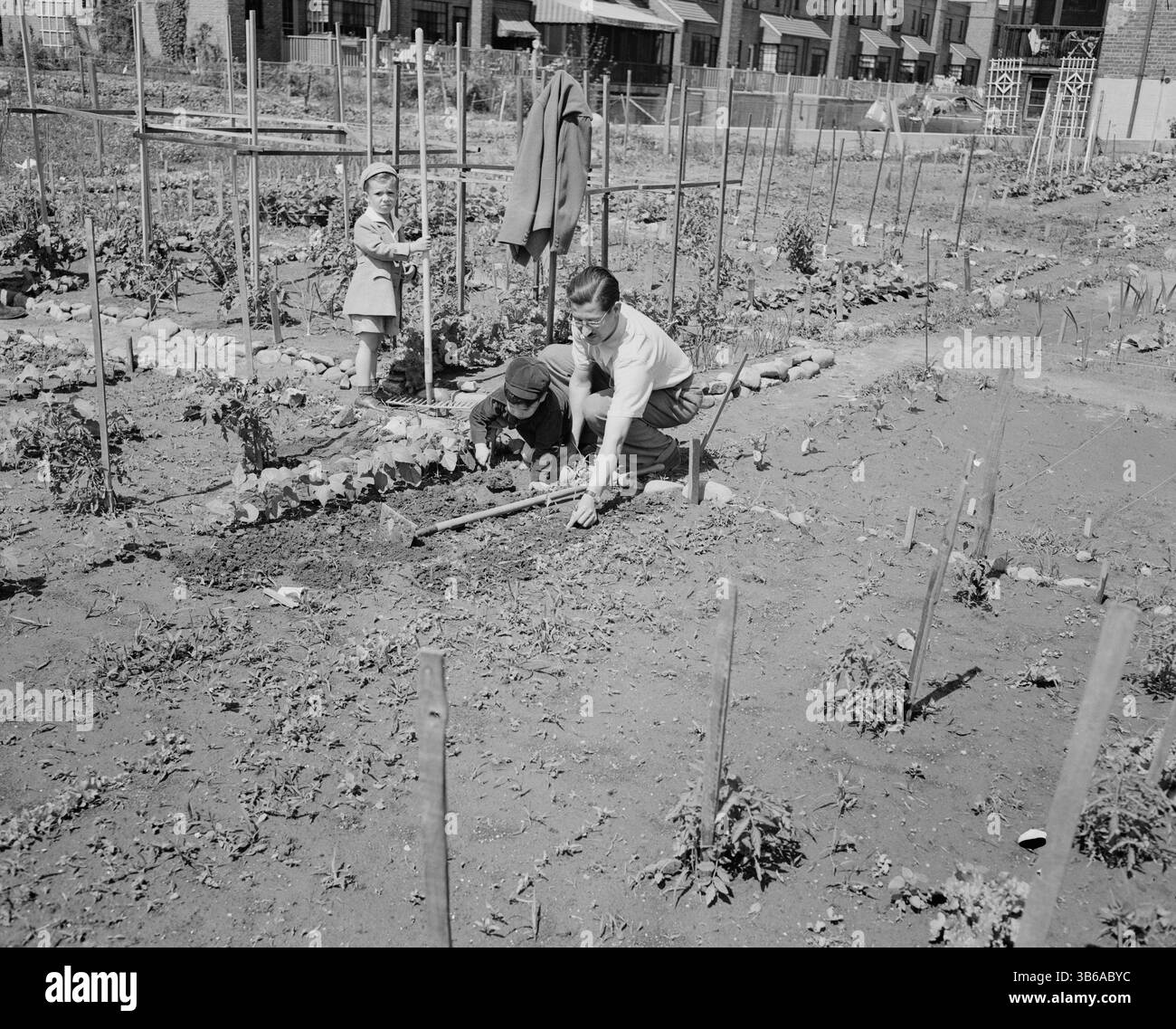 New York, New York. Victory Gardening à Forest Hills, Queens, 1944. Banque D'Images