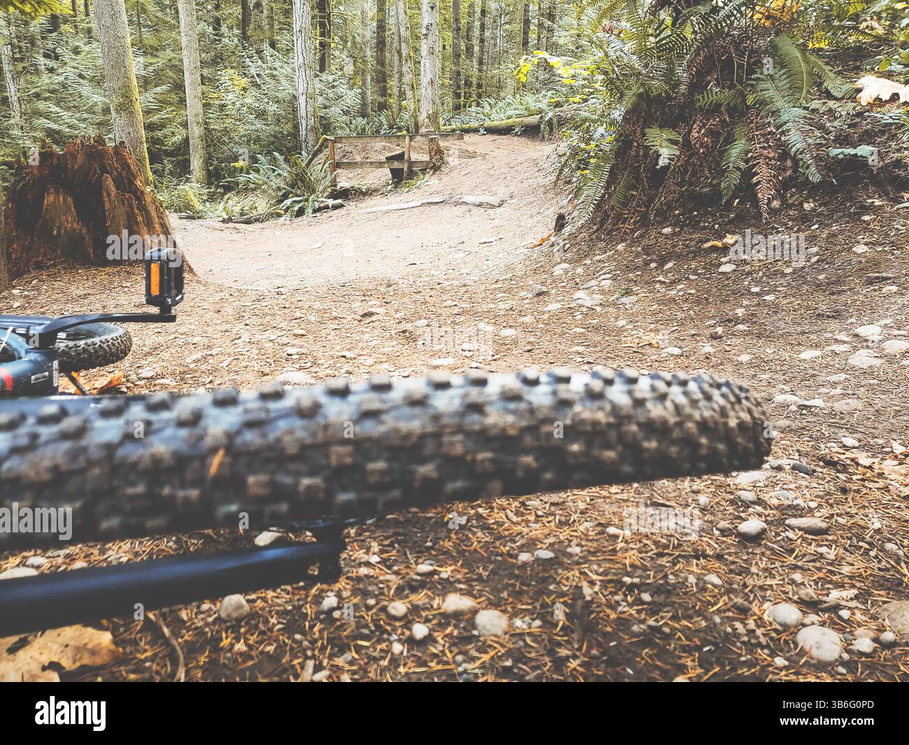 Une vue d'une piste de vélo tout terrain devant un vélo tout terrain tombé, vu à Issaquah, Washington. Banque D'Images