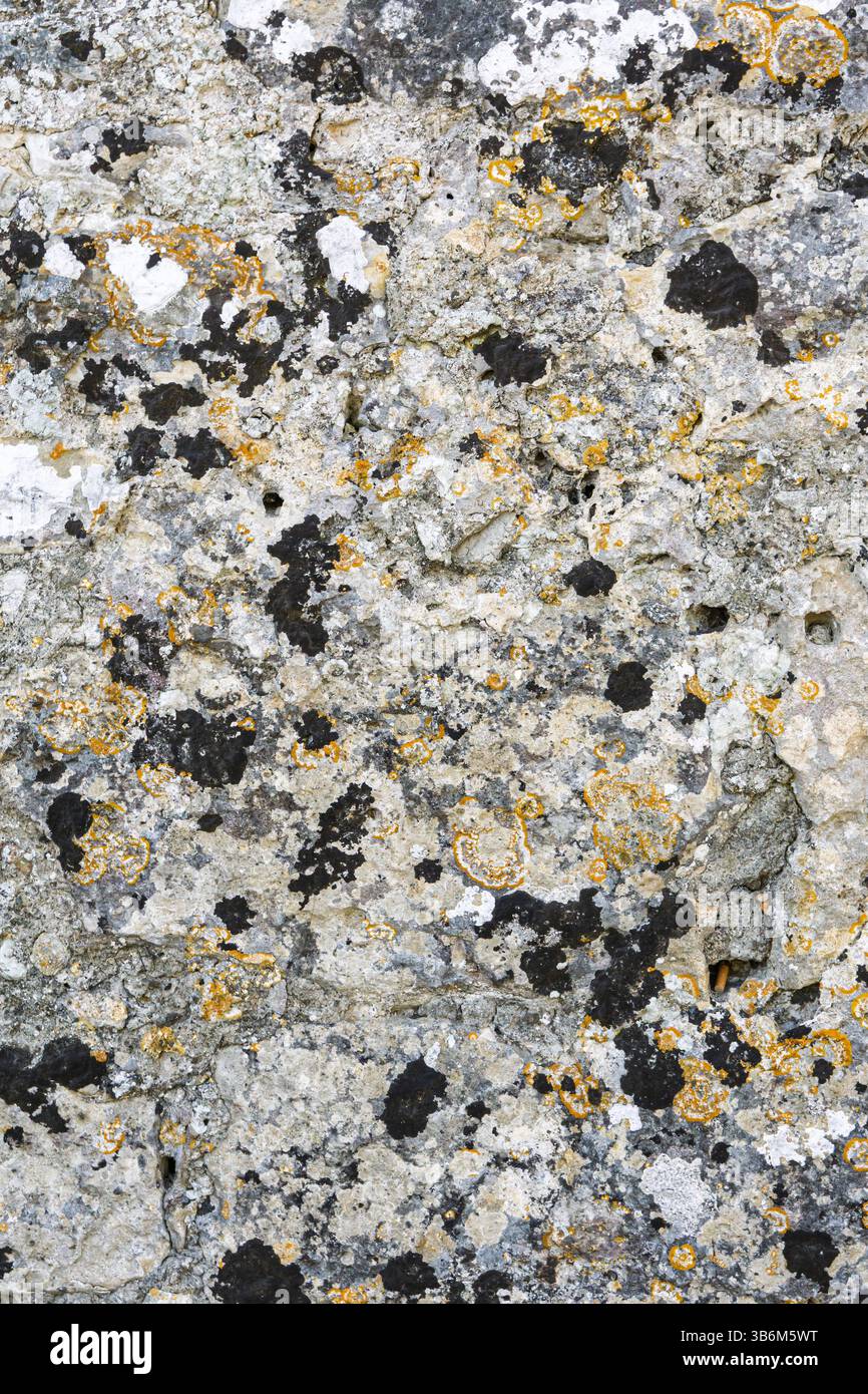 Surface texturée d'un vieux mur de pierre recouvert de lichen et de mousse, créant un motif abstrait naturel Banque D'Images