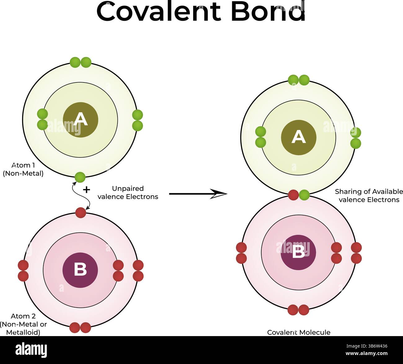 Illustration vectorielle de conception de formation de liaison covalente Illustration de Vecteur