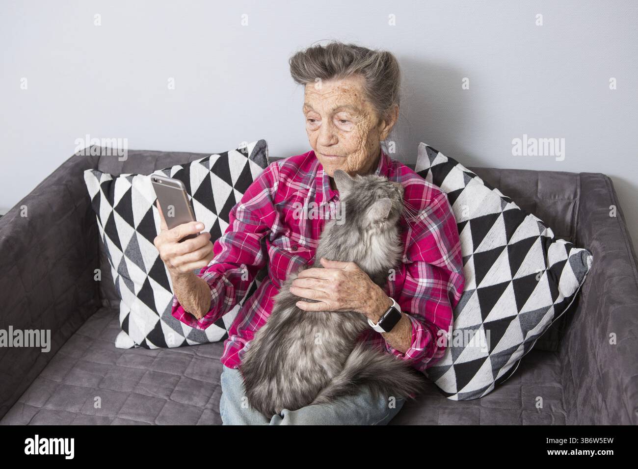 La vieille personne utilise la technologie. Mature satisfait joie sourire actif cheveux gris rides Caucasien femme assise canapé de salon avec chat moelleux à l'aide du mobile Banque D'Images
