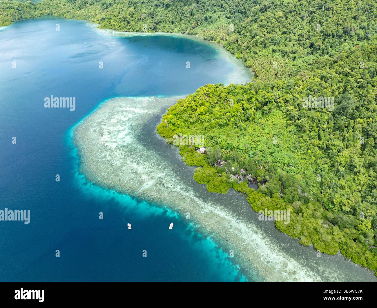 Un récif corallien peu profond pousse au bord d'une île tropicale pittoresque couverte de palmiers près de Halmahera, en Indonésie. Cette zone abrite une grande biodiversité. Banque D'Images