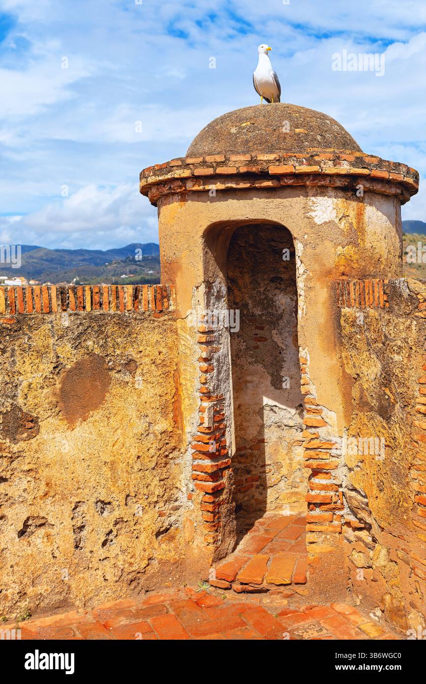 Tour de guet en briques altérées. Mouette perchée au sommet d'une structure de briques en forme de dôme avec une ouverture voûtée, partie d'un vieux mur de fortification Banque D'Images