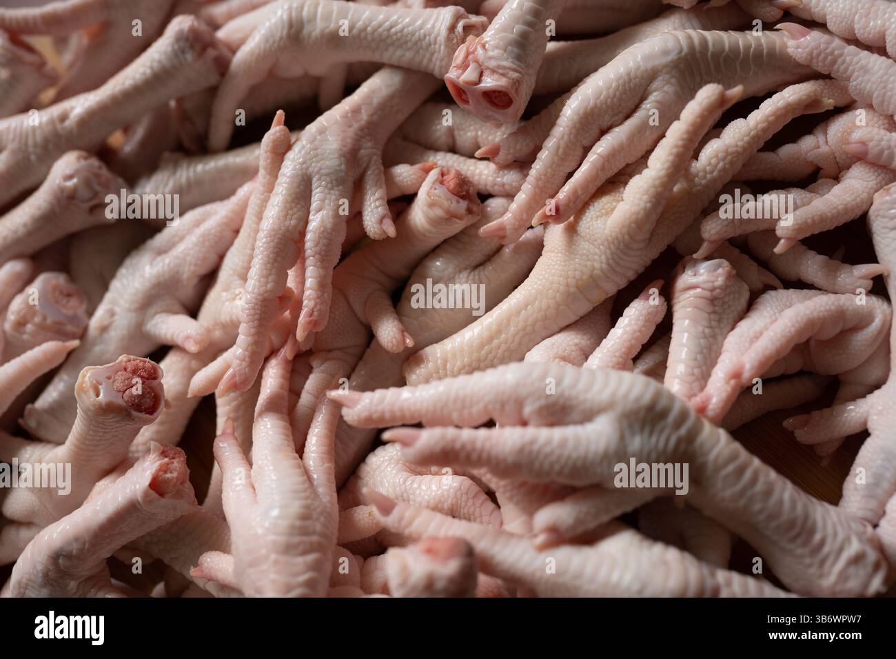 Pieds de poulet crus pour la cuisson Banque D'Images