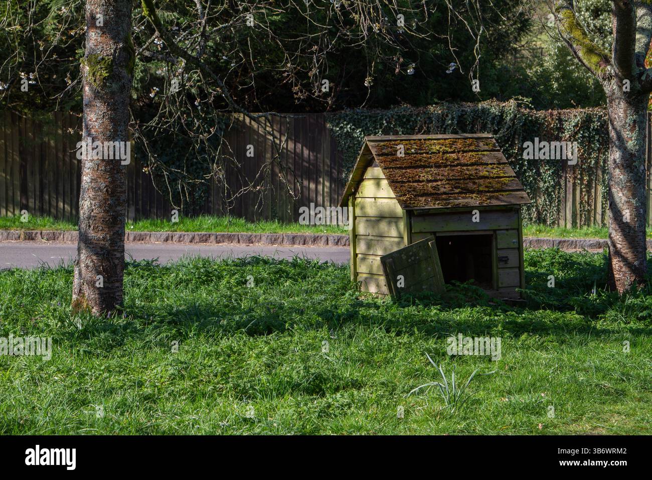 Une maison de canard sur le vert du village à North Waltham, Hampshire, Angleterre Banque D'Images