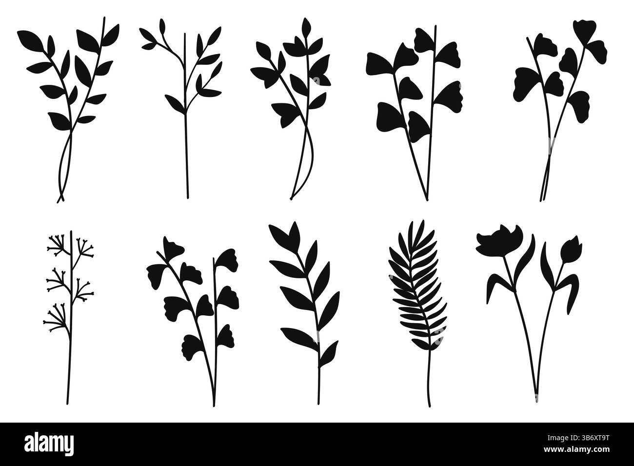 Collection florale silhouette pour invitations de mariage. Illustration vectorielle Illustration de Vecteur