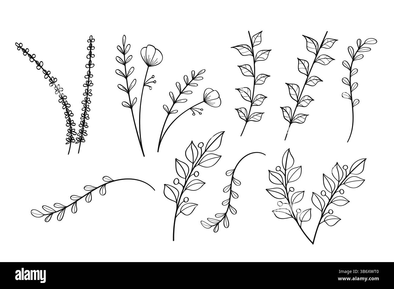 Une collection d'illustrations végétales dessinées à la main avec diverses feuilles et branches dans un style minimaliste d'art au trait, illustration vectorielle.​ Illustration de Vecteur