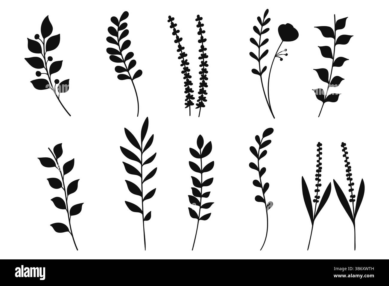 Une collection d'illustrations de plantes noires dessinées à la main, mettant en vedette diverses fleurs, feuilles et branches dans un style minimaliste d'art au trait, illustration vectorielle Illustration de Vecteur