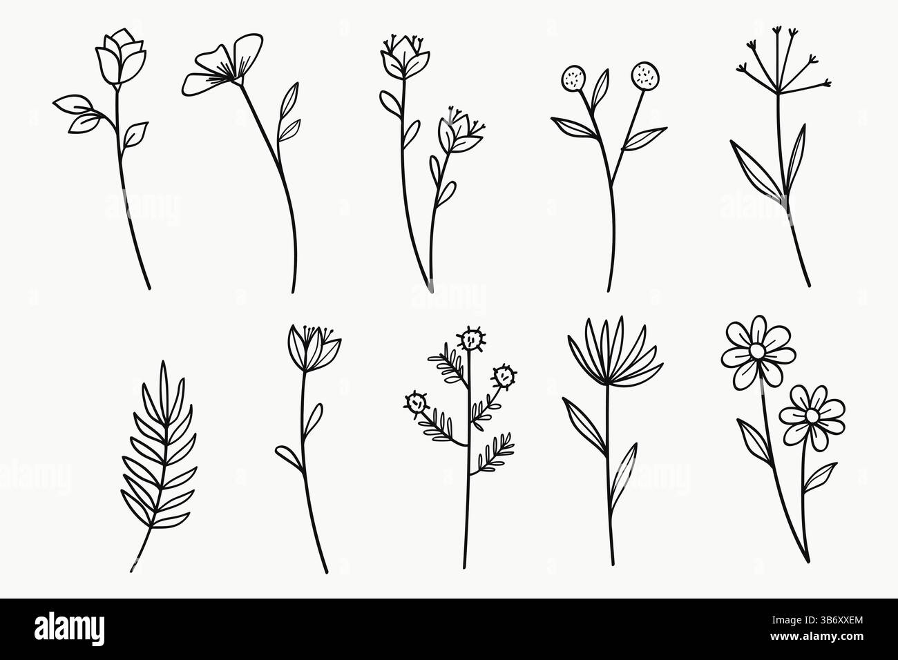 Fleurs et feuilles Line Art Collection de dessin à la main. Illustration vectorielle Illustration de Vecteur