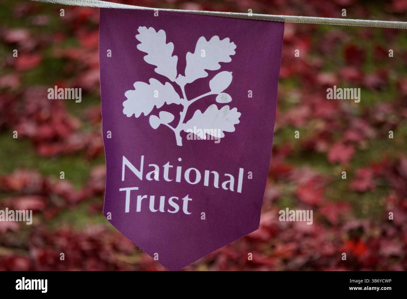 Drapeau du National Trust avec logo en feuilles de chêne affiché à l'extérieur sur fond de feuilles rouges d'automne dans un parc patrimonial. Sheffield Park and Garden Banque D'Images