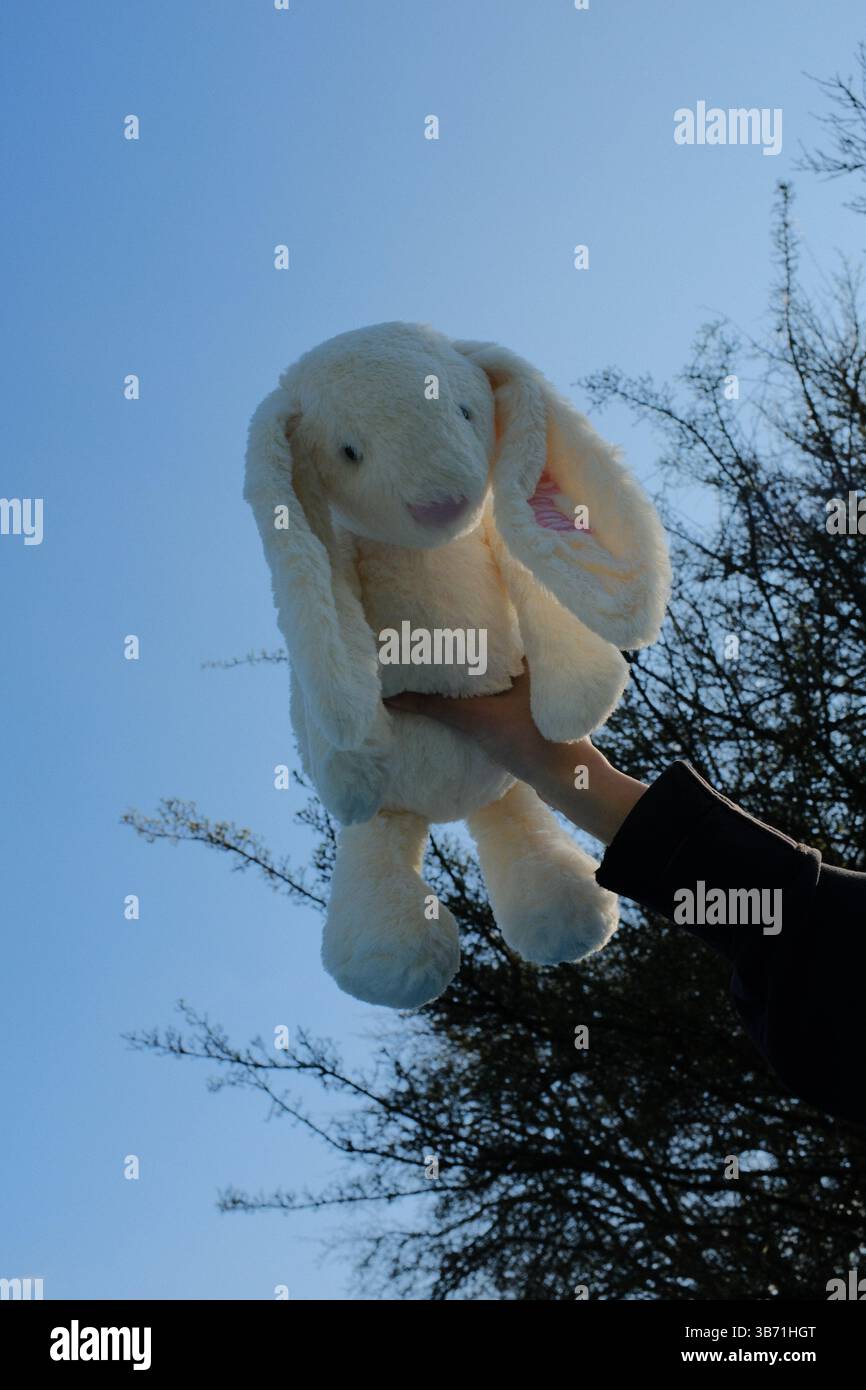 jouet de lapin en peluche blanc mignon tenu dans la main contre fond de ciel bleu dans l'environnement extérieur de printemps. Photo de haute qualité Banque D'Images