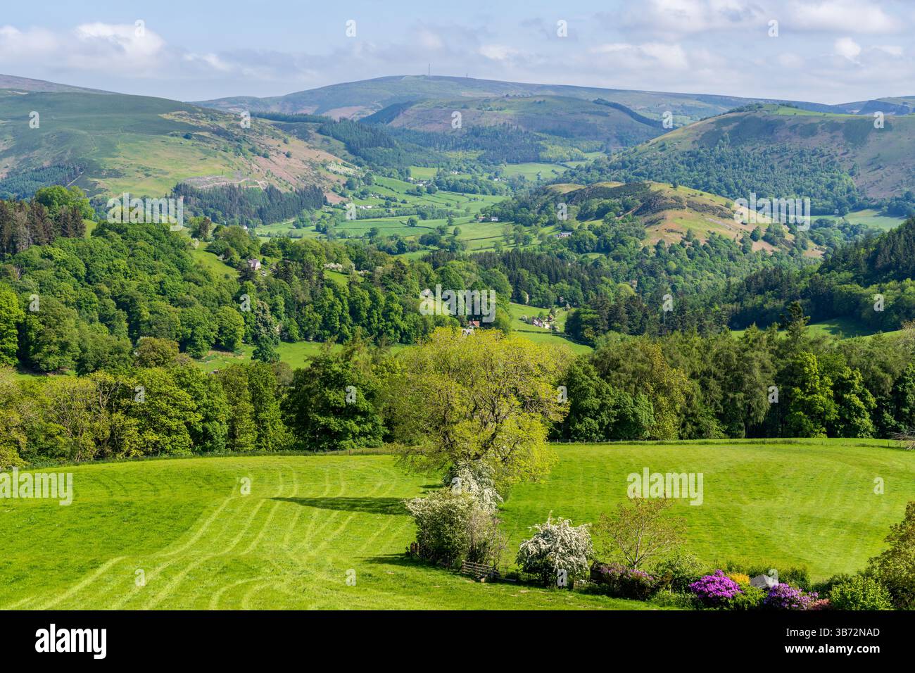 Paysage près de Berwyn dans le Denbighshire, Clwyd, pays de Galles, Royaume-Uni Banque D'Images