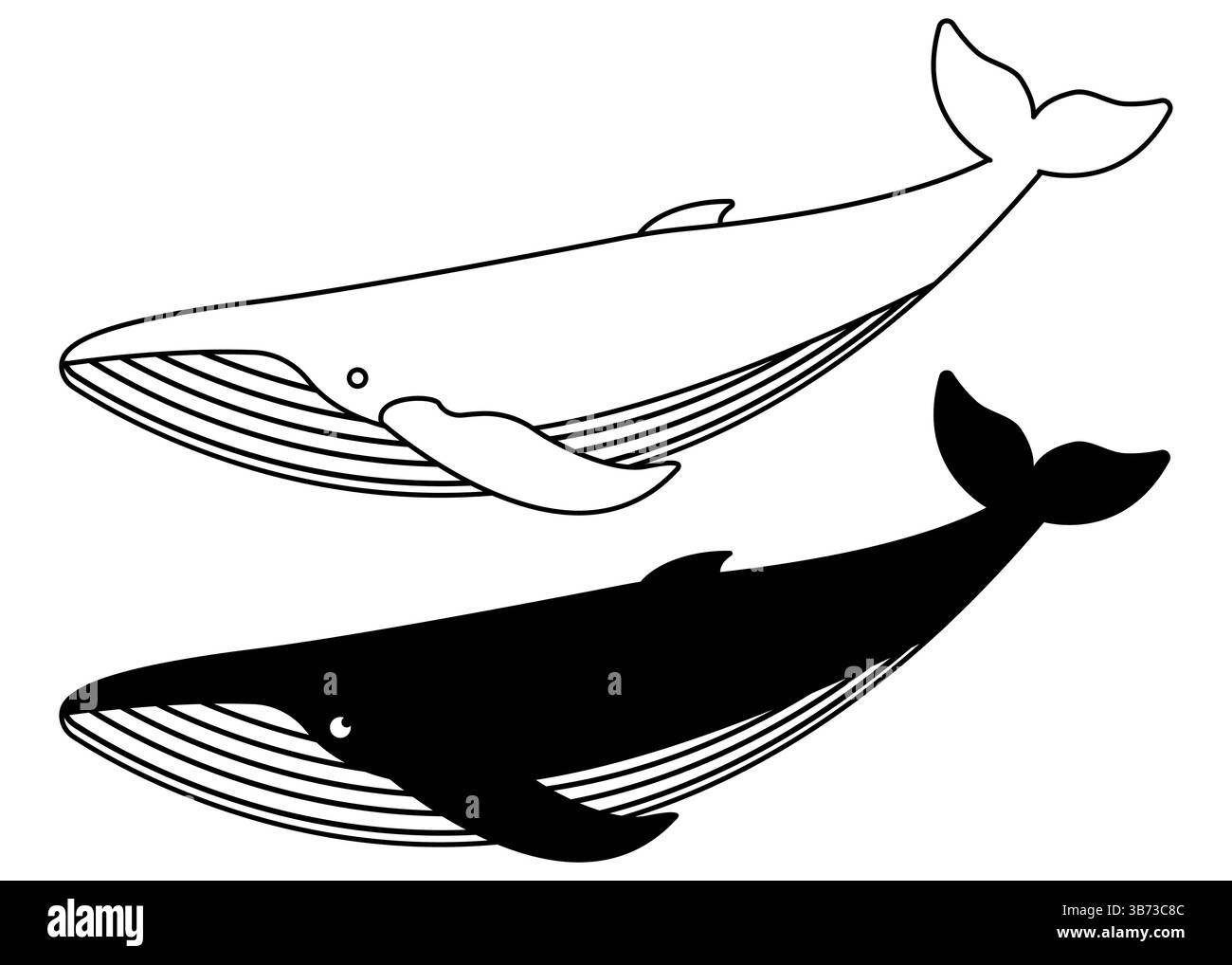 Illustrations stylisées en noir et blanc représentant de majestueuses baleines qui représentent magnifiquement diverses formes de vie marine Illustration de Vecteur