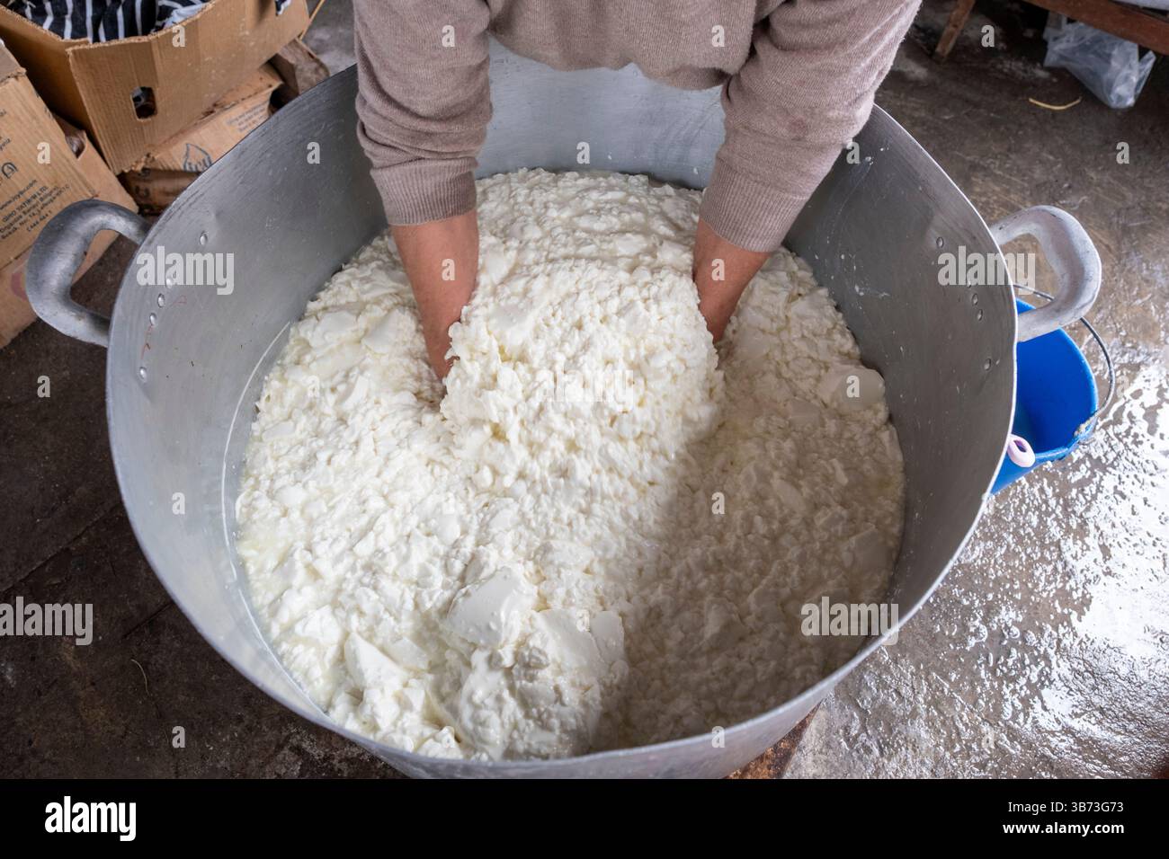 Une femme âgée fabriquant du fromage Feta de manière traditionnelle en utilisant uniquement du lait de brebis. - Korucam (Kormakiti) village maronite - Chypre du Nord. Banque D'Images