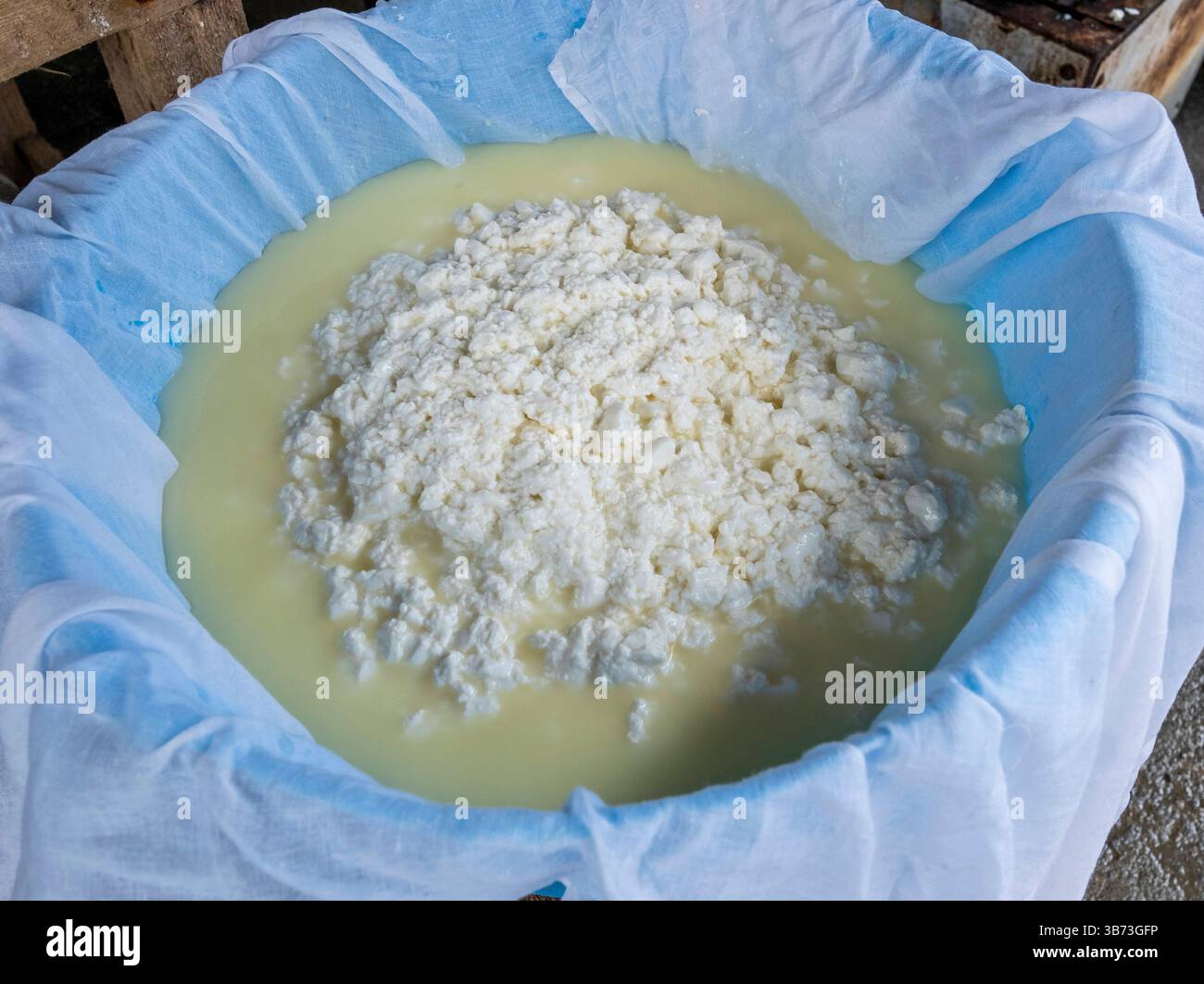 Une femme âgée fabriquant du fromage Feta de manière traditionnelle en utilisant uniquement du lait de brebis. - Korucam (Kormakiti) village maronite - Chypre du Nord. Banque D'Images