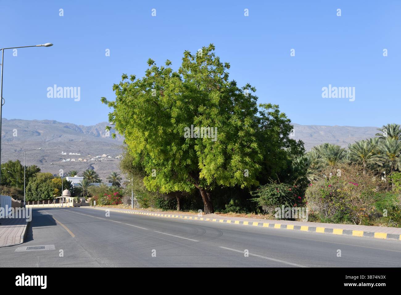 Paysage d'Oman. Route vers les montagnes près du village Misfah Al Abriyeen. Sultanat d'Oman. Péninsule arabique Banque D'Images
