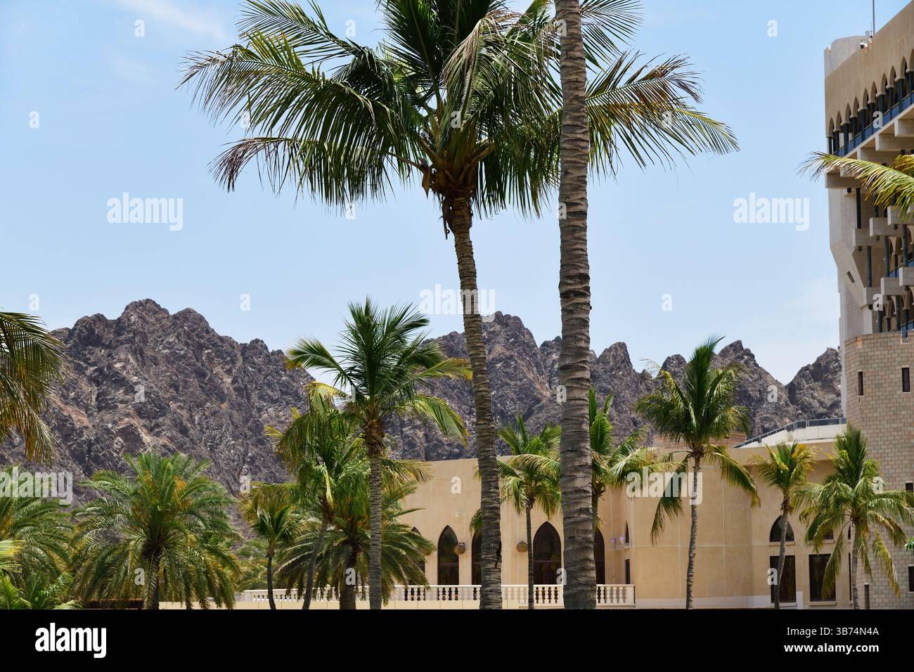 Resort dans le Sultanat d'Oman., péninsule arabique. Palmiers et montagnes sur fond. Banque D'Images