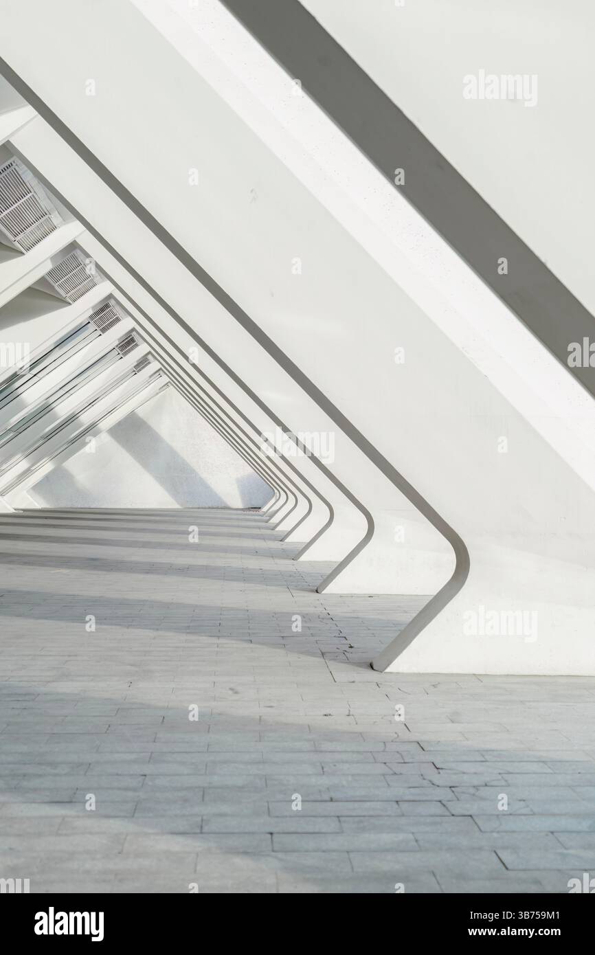 Architecture moderne du Museu de les ciencies principe Felipe, Espagne. Nervures architecturales blanches répétitives à Valence. Structure abstraite du S. Banque D'Images