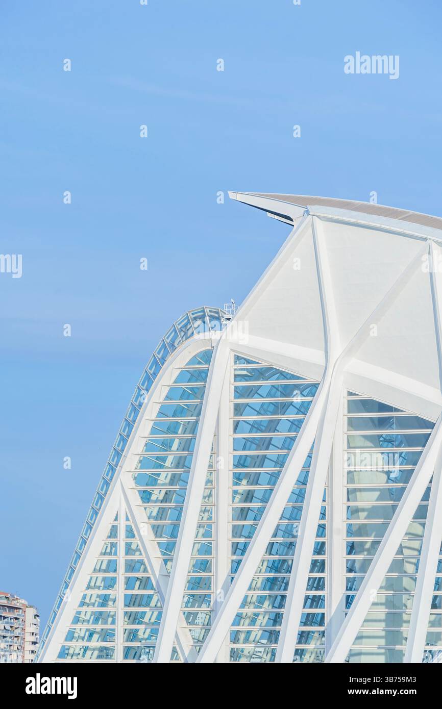 Vue rapprochée des éléments de design moderne du Palau principe Felipe, Musée des Sciences de la Cité des Arts et des Sciences contre un ciel bleu clair. Abstra Banque D'Images