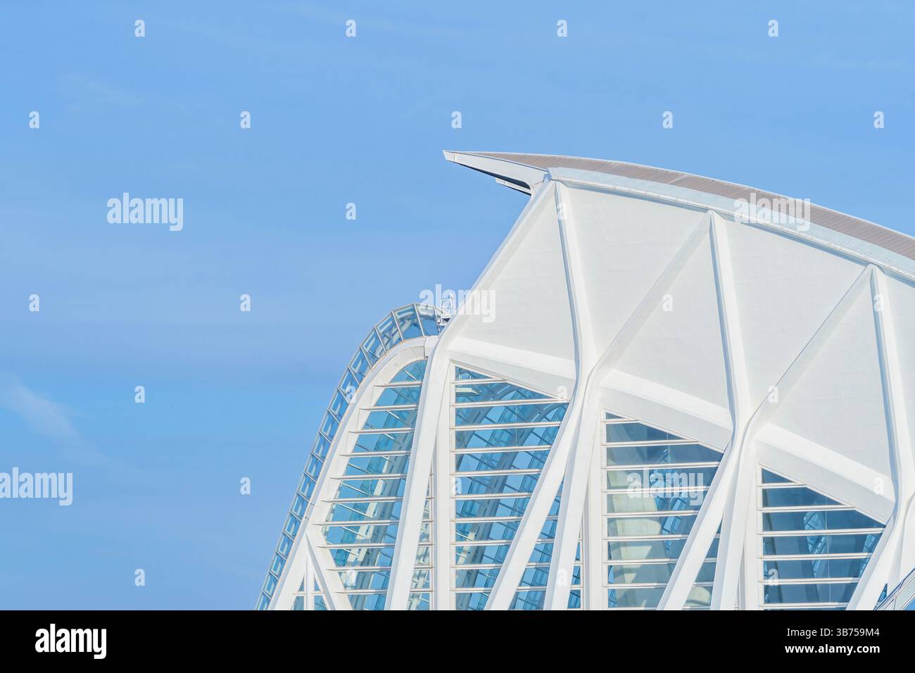 Vue rapprochée des éléments de design moderne du Palau principe Felipe, Musée des Sciences de la Cité des Arts et des Sciences. White architectural Lines, Vale Banque D'Images