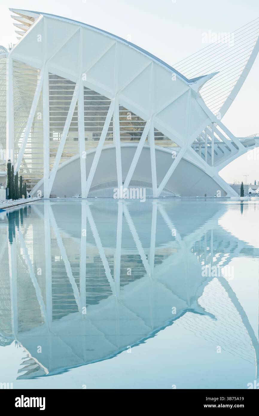 Perspective du Museu de les ciencies principe Felipe. Formes architecturales abstraites du Musée des Sciences de Valence en Espagne. Cité des Arts et des Sciences Banque D'Images