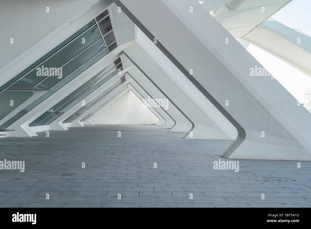 Architecture moderne du Museu de les ciencies principe Felipe, Espagne. Nervures architecturales blanches répétitives à Valence. Structure abstraite du S. Banque D'Images