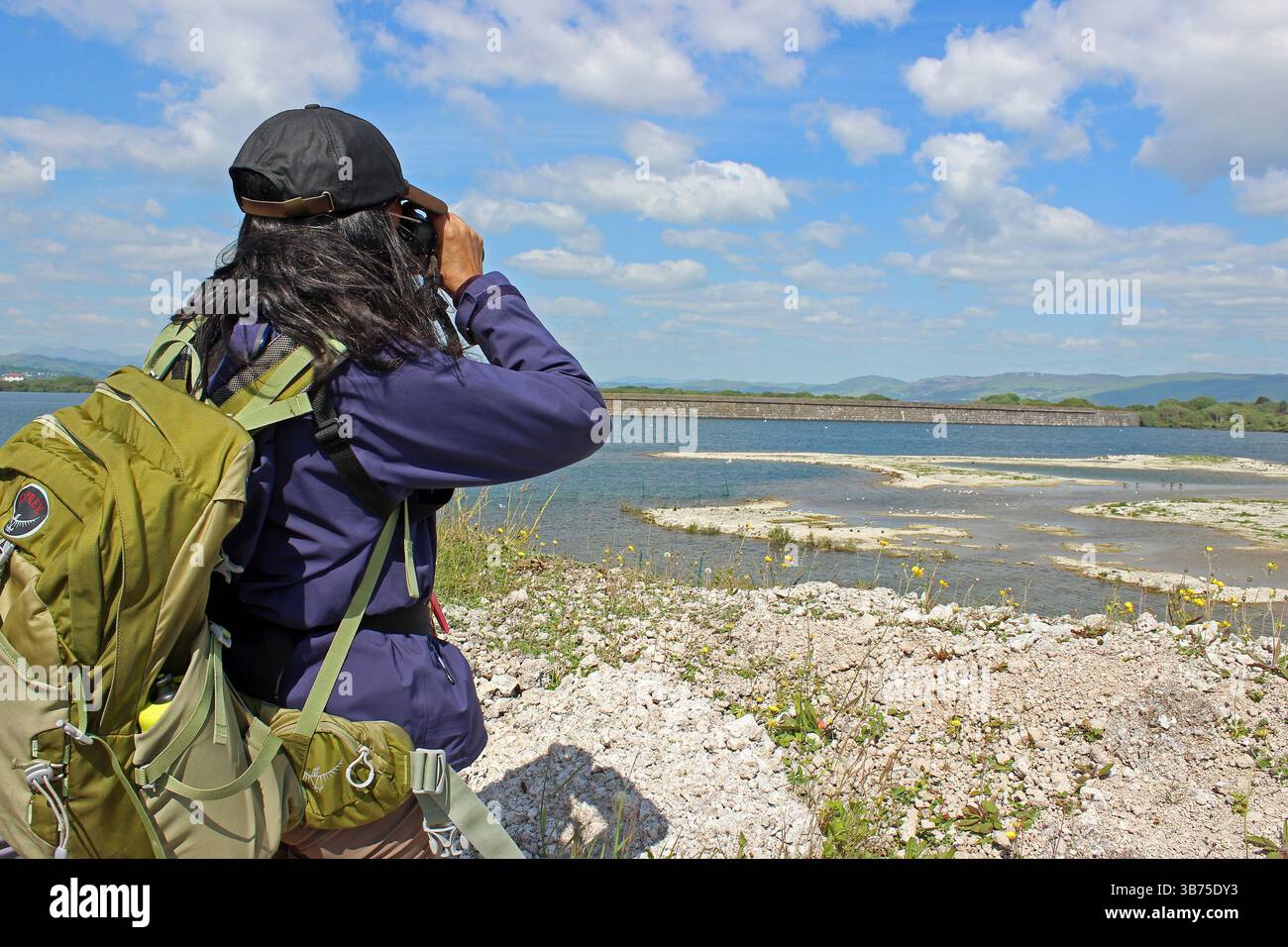 Femme asiatique d'observation des oiseaux à Hodbarrow RSPB Reserve, Cumbria Banque D'Images