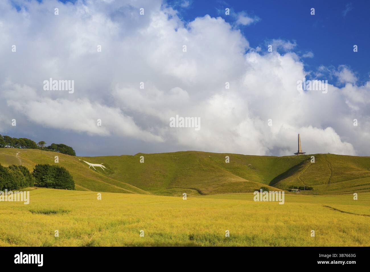 L'obélisque et le célèbre cheval blanc, le monument de Lansdowne, Avebury, Angleterre, Royaume-Uni, Europe Banque D'Images