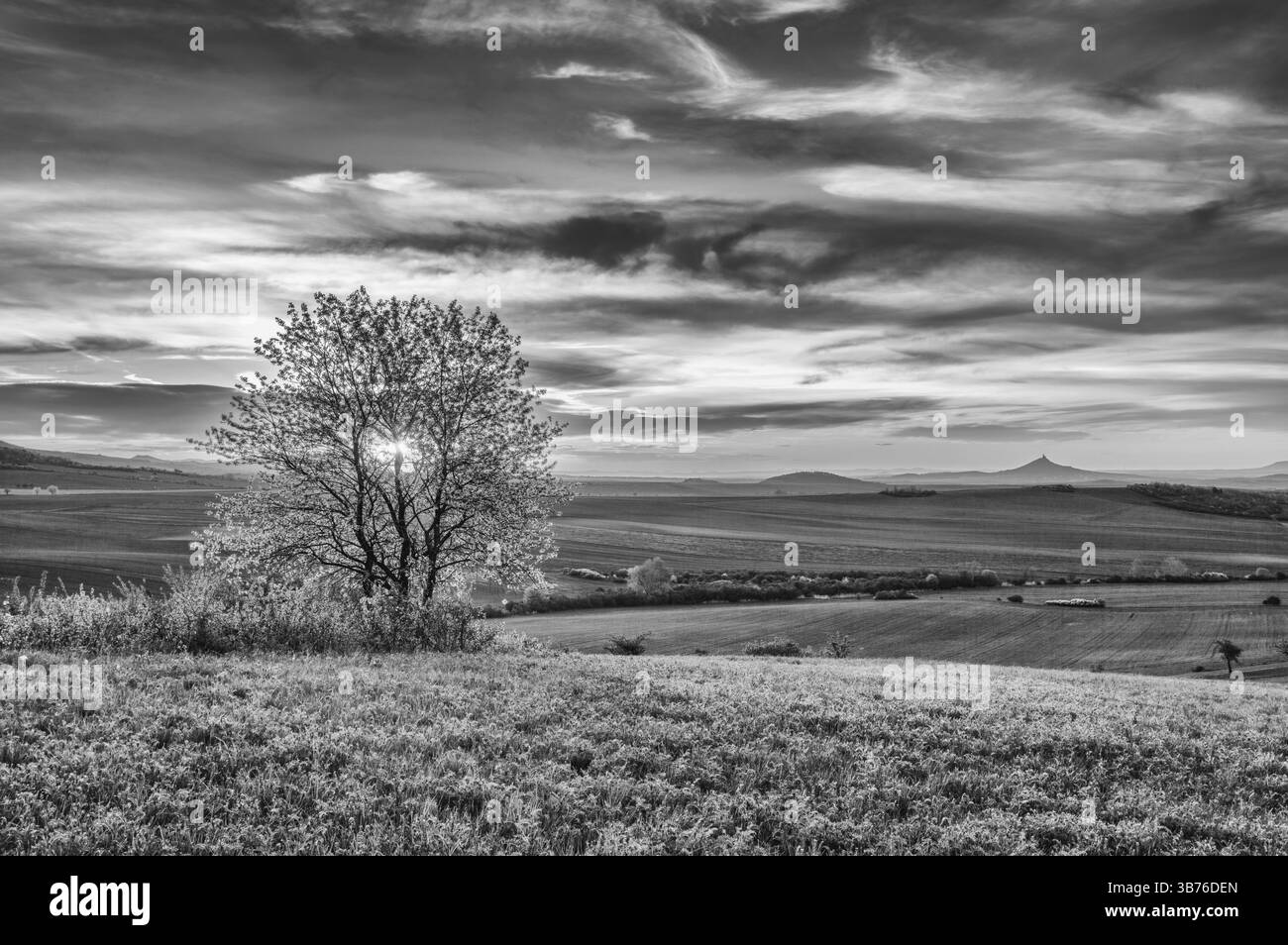 Sur les collines d'herbe dans les hautes terres de Bohême centrale, République tchèque. Photographie en noir et blanc Banque D'Images
