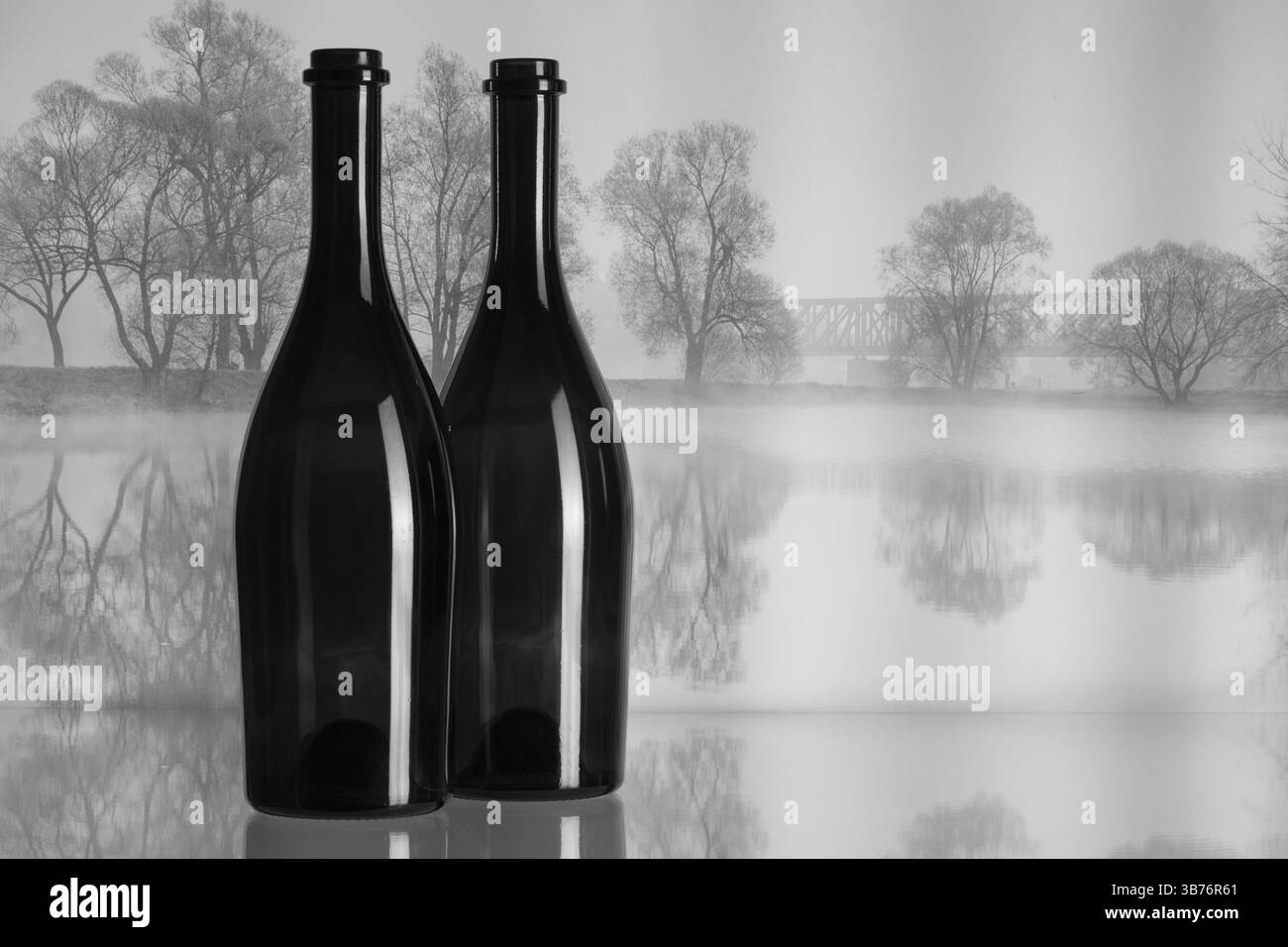 Deux bouteilles et de l'automne paysage dans la brume du matin Banque D'Images