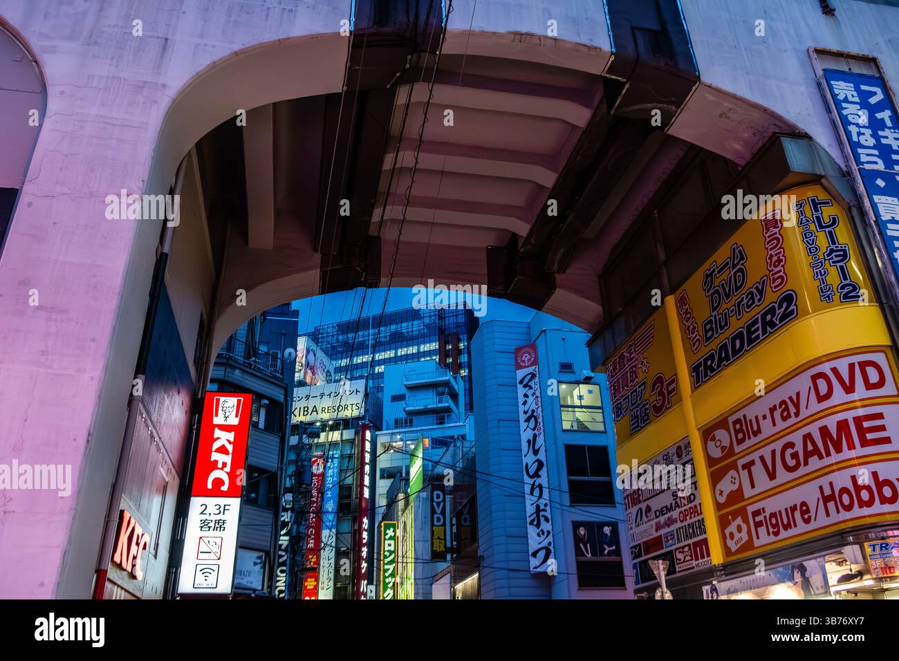 Tokyo, Japon - 6 août 2024 : une scène nocturne capturant l'atmosphère vibrante d'Akihabara, mettant en valeur le mélange unique de commerce et de culture otaku dans to Banque D'Images