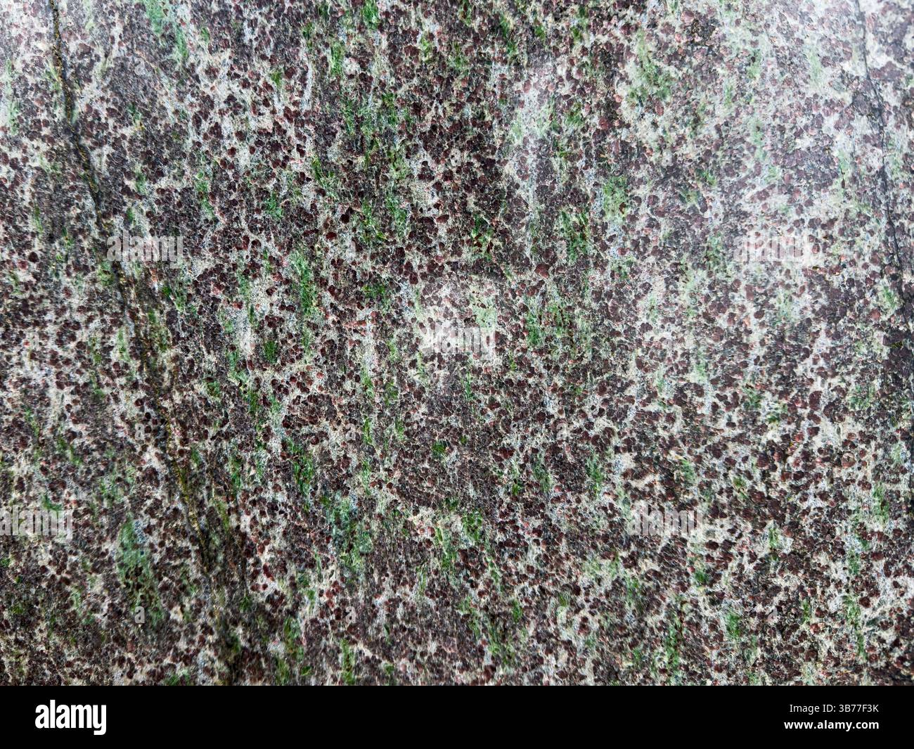 Une surface rocheuse granitique avec des taches minérales vertes et brunes. Banque D'Images