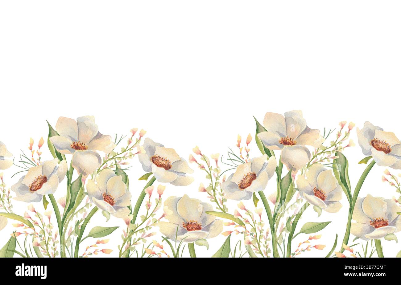 Bordure de répétition botanique avec des fleurs douces crémeuses et des feuilles vertes subtiles isolées sur blanc. Aquarelle roses sauvages et fleurs sauvages dessinées à la main pour Banque D'Images