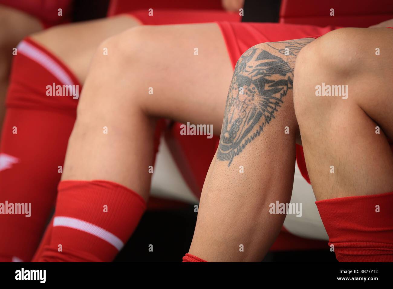 Monza, Italie. 4 mai 2025. Un tatouage sur le genou d'Andrea Petagna de l'AC Monza lors du match AC Monza vs Atalanta Serie A au U-Power Stadium, Monza. Le crédit photo devrait se lire : Jonathan Moscrop/Sportimage crédit : Sportimage Ltd/Alamy Live News Banque D'Images