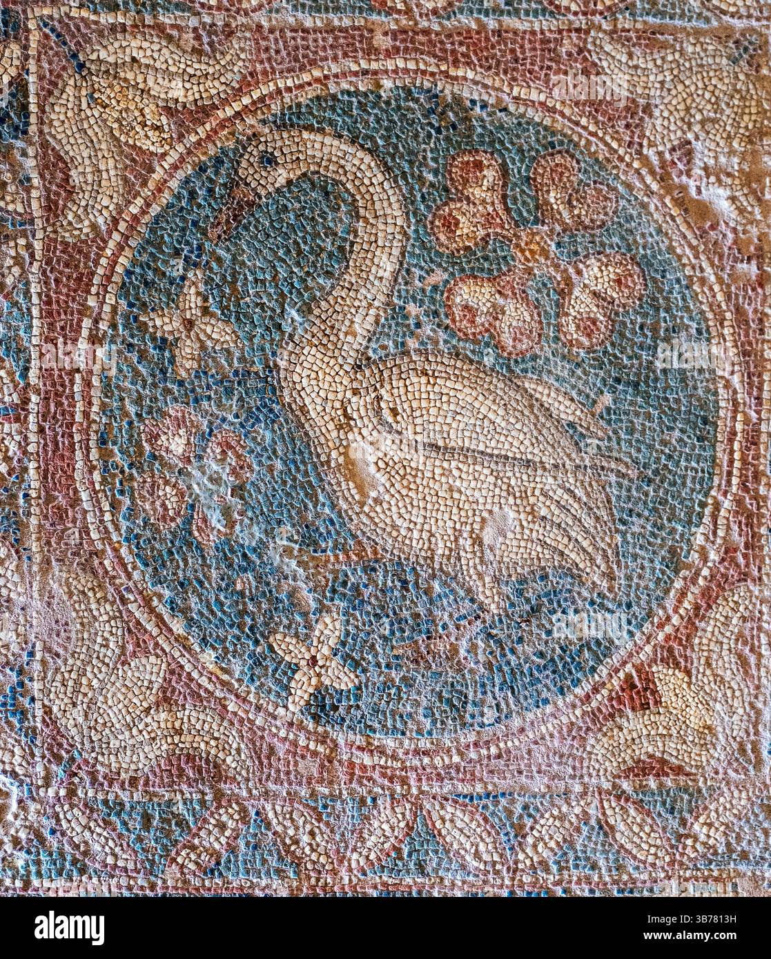 La mosaïque du sol des cygnes, ruines romaines de Soloi, Karavostasi, Chypre du Nord. Banque D'Images