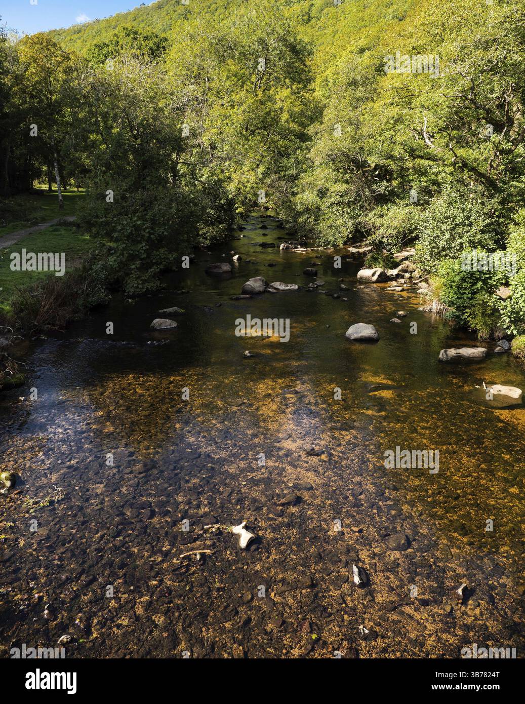 Fingle Bridge est une vallée pittoresque sur la rivière Teign Sur Dartmoor Banque D'Images