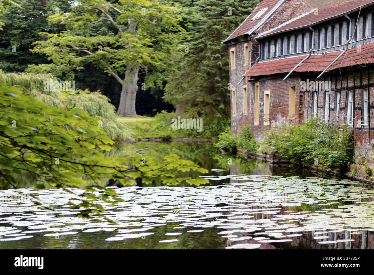 Les douves du château à douves de Senden sont alimentées par le River Stever. Le site est situé à une courte distance du canal Dortmund-EMS Banque D'Images
