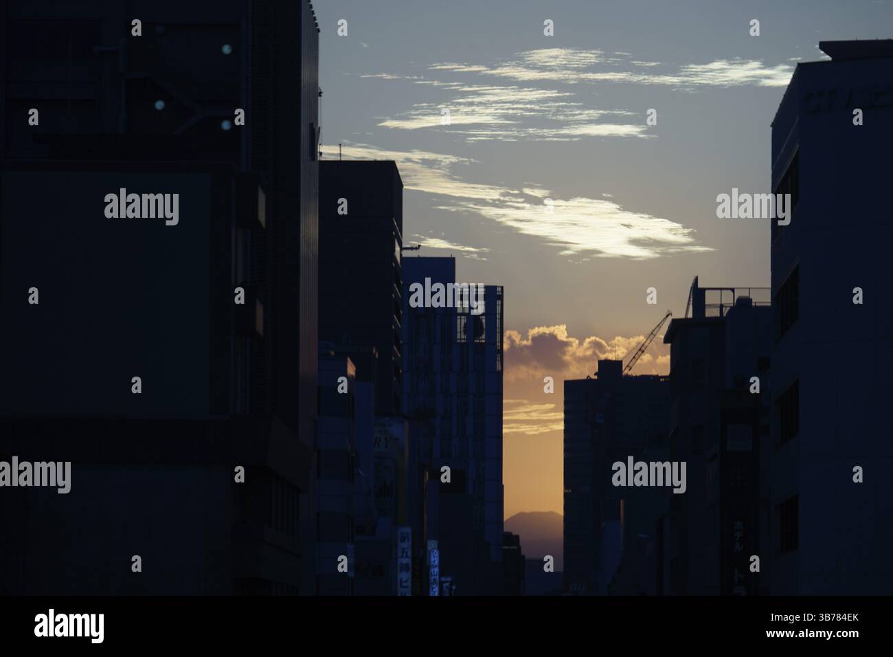 Soirée et la construction de la silhouette. Lieu de tournage : préfecture d'Aichi, ville de Nagoya Banque D'Images